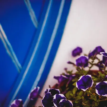 بيت خشبي Mi Tesoro