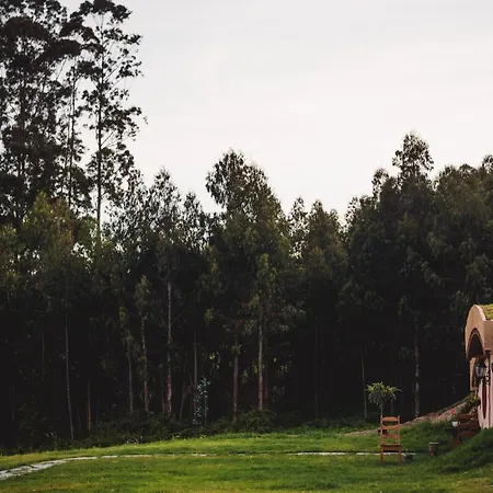 Mi Tesoro Lodge Viveiro