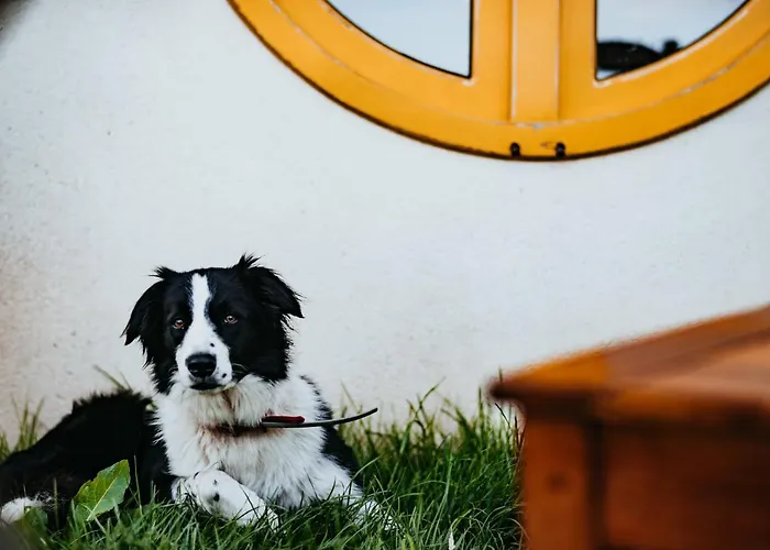 Mi Tesoro Jaktstuga Viveiro